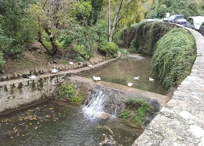 Los Patos
